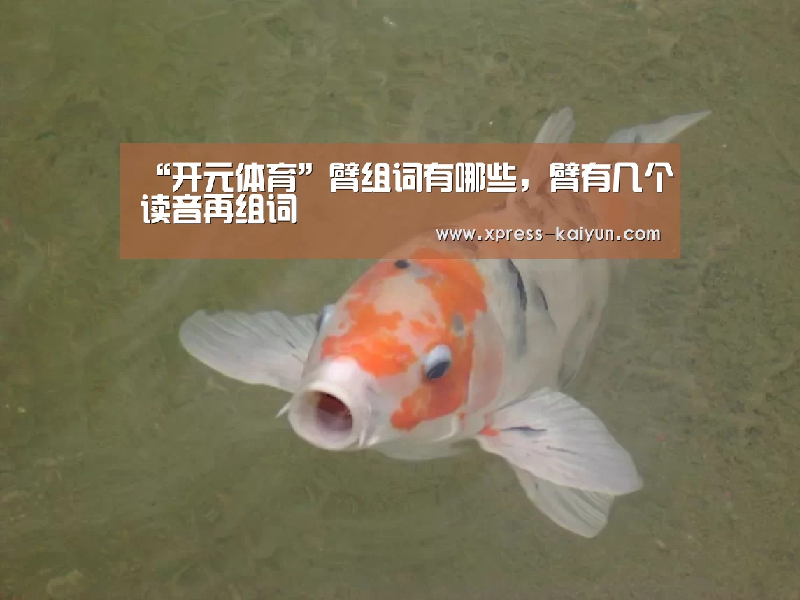 开元体育app