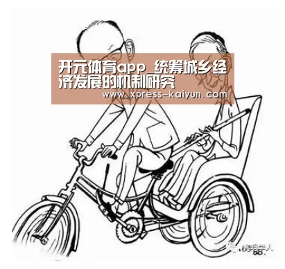 开元体育app_统筹城乡经济发展的机制研究(图1) 开云平台