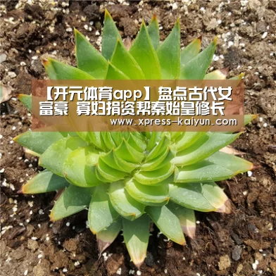 开云体育网站