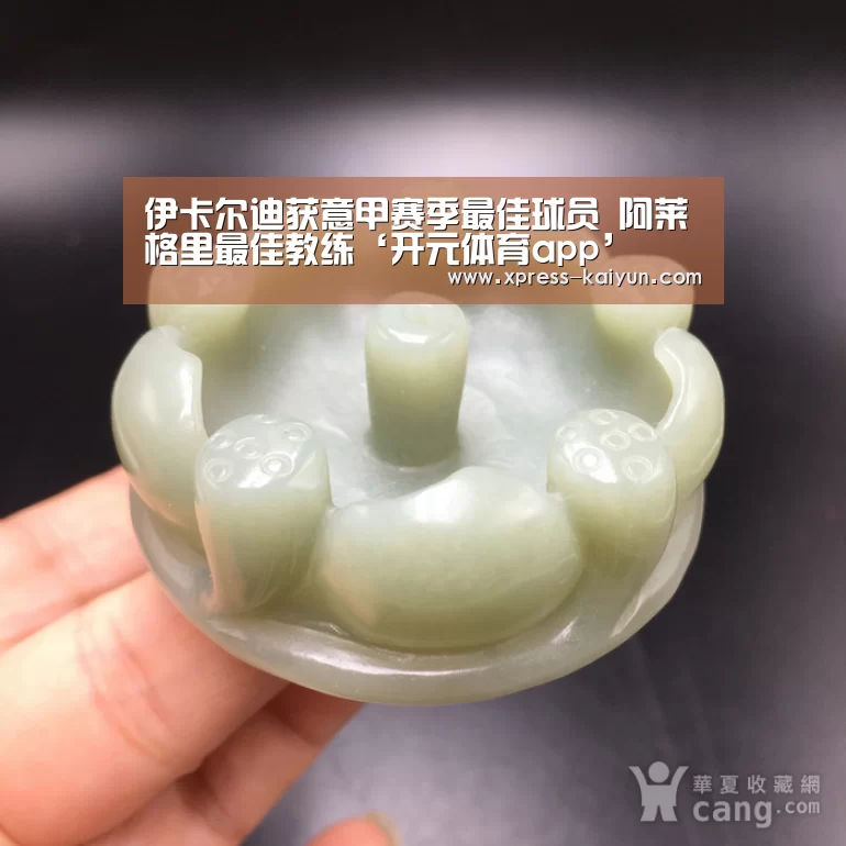 伊卡尔迪获意甲赛季最佳球员 阿莱格里最佳教练‘开元体育app’(图1) 开云平台