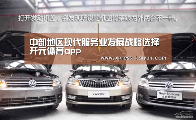 中部地区现代服务业发展战略选择_开元体育app(图3) 开云体育网站