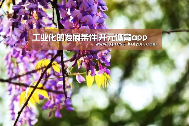 工业化的发展条件|开元体育app(图2) 开云体育网站