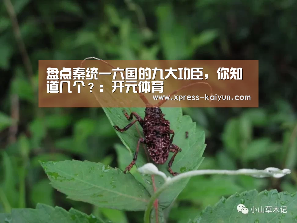 开元体育