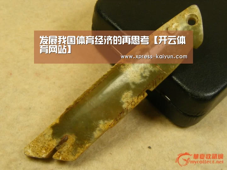 发展我国体育经济的再思考【开云体育网站】(图1) 开元体育app